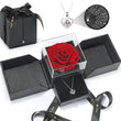 Load image into Gallery viewer, Preserved Rose with "I love you" Necklace in 100 languages