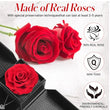 Load image into Gallery viewer, Preserved Rose with "I love you" Necklace in 100 languages