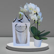 Load image into Gallery viewer, A graceful orchid plant, symbolizing beauty, strength, and eternal remembrance. Perfect for expressing sympathy and available for same-day delivery to offer comfort and support.
