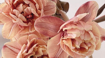 Floral arrangement care tips
