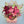 Load image into Gallery viewer, Sure! Here’s a revised version of your text with 40 additional symbols and more emphasis on flowers:

---

&quot;We specialize in floral arrangements, gift baskets, and custom gifts for all occasions, with same-day delivery seven days a week throughout Las Vegas and Henderson. Our services cover North Las Vegas, Henderson, Boulder City, and Las Vegas Strip Hotels. Gifts for any occasion include Birthday Gift Baskets, Anniversary Gift Baskets, Thank You Gift Baskets, and much more, such as vibrant roses, elegant 
