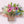 Load image into Gallery viewer, Discover a splendid collection of seasonal floral bouquets. Each unique arrangement is a stunning dichotomous mix of breathtaking color combinations. This incredibly beautiful and bountiful arrangement boasts a lush selection of fresh flowers, featuring the perfect hues and a delightful variety of blossoms. Flowers are not just a gift; they are the finest way to celebrate, brighten someone’s day, or express sentimental love and feelings.
