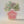 Load image into Gallery viewer, Celebrate Mom this Mother’s Day with a beautiful floral arrangement delivered right to her door in Las Vegas or Henderson. Thoughtfully designed with fresh blooms, each bouquet is a heartfelt way to say thank you for her unwavering love, support, and nurturing spirit. Whether it’s a vibrant bouquet or a soft, elegant arrangement, our flowers are the perfect way to show her she’s cherished.

Make this Mother’s Day extra special with same-day delivery, ensuring she receives a stunning surpris.

