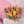 Load image into Gallery viewer, Celebrate the season with stunning Fall &amp; Thanksgiving floral arrangements, available for same-day delivery in Las Vegas and Henderson. From vibrant autumn bouquets to elegant pumpkin centerpieces, each design is filled with warm colors that capture the spirit of fall. Perfect for hosting, gifting, or simply adding a festive touch to your home, these arrangements bring beauty and gratitude to any Thanksgiving table.
Call 702-301-2969 Envelove Beyond Gifts 
